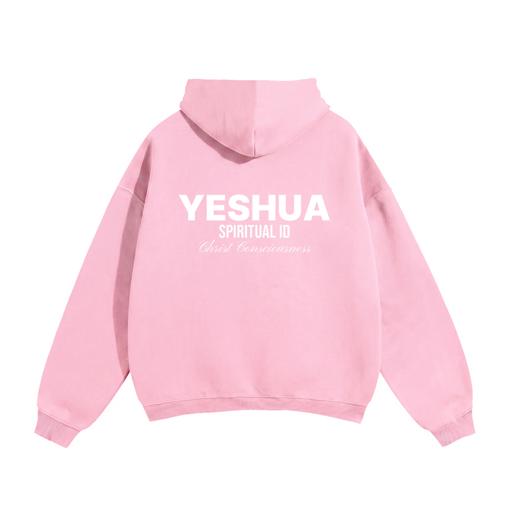 168 Christ Consciousness Pink Oversize Fleeced Hoodie